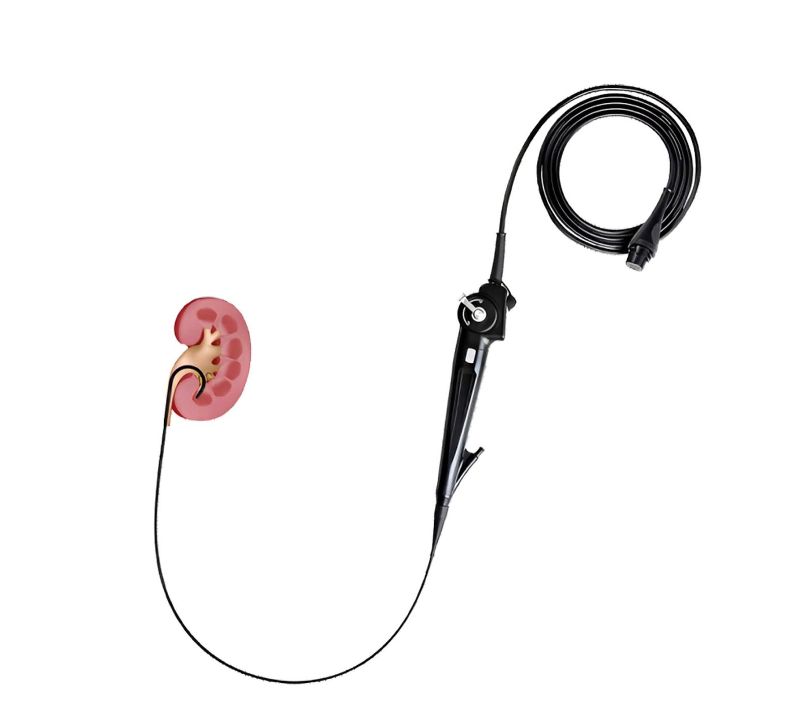 Flexible Ureteroscope